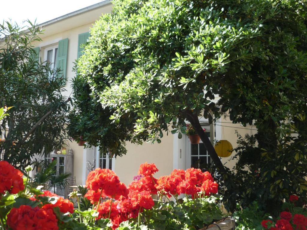 Logis Hotel Villa Victorine Νίκαια Εξωτερικό φωτογραφία